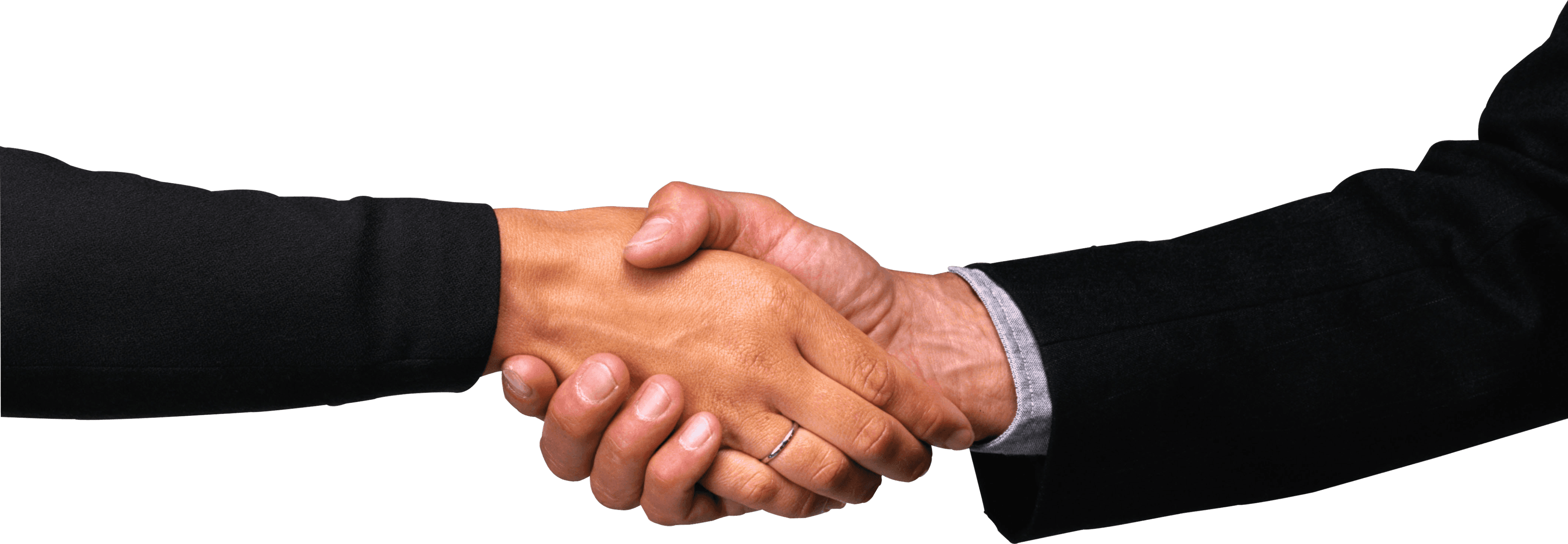Handshake between two professionals
